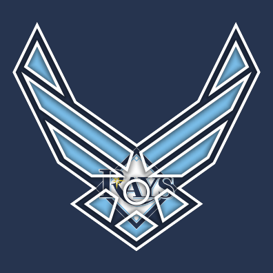 Airforce Tampa Bay Rays Logo vinyl decal